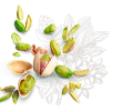 Pistacchi-2.png